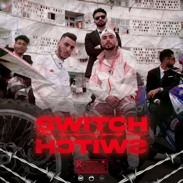 Switch cover art