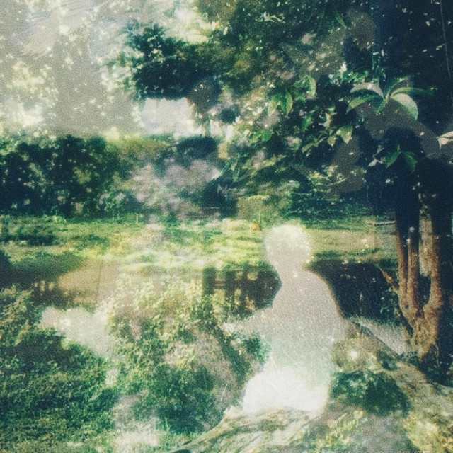 my heart feels hollow but you're still here