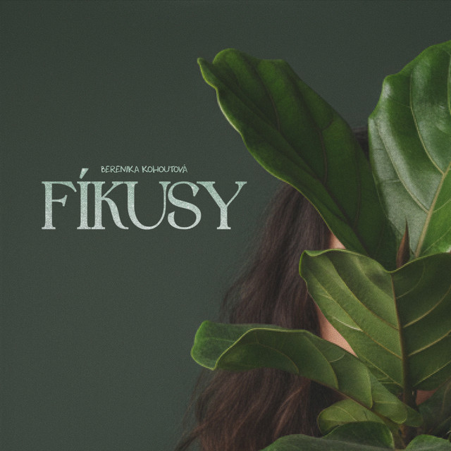 Fíkusy