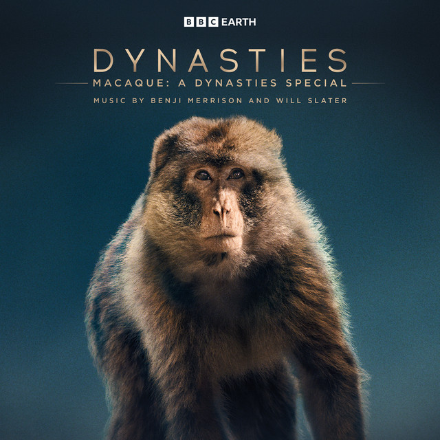 Macaque: A Dynasties Special (Original Television Soundtrack) cover art