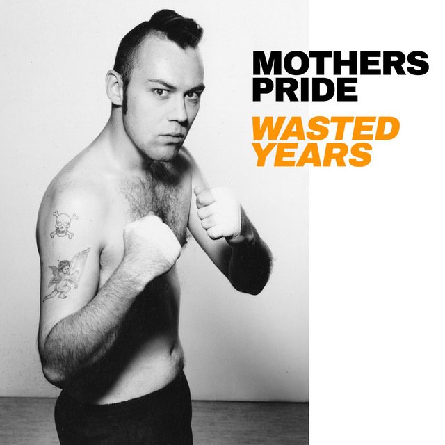 Wasted Years cover