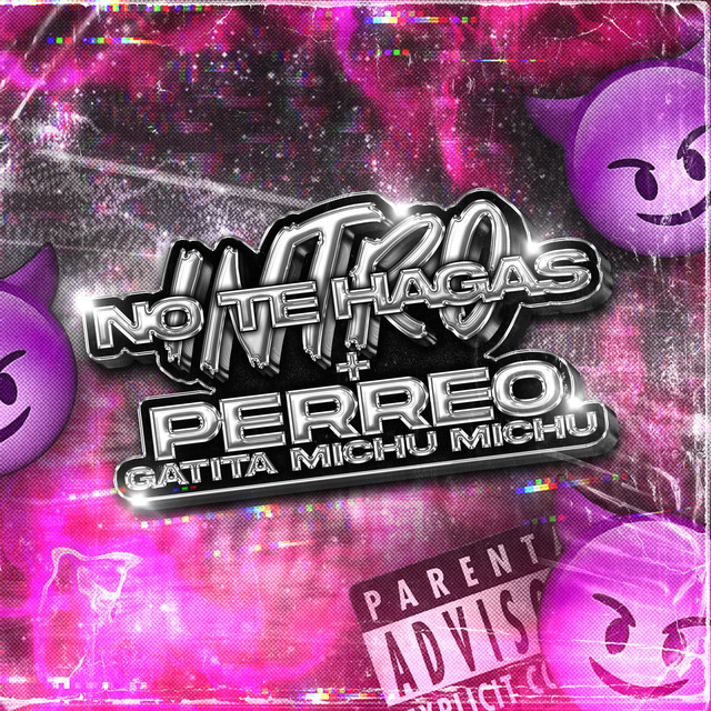 INTRO NO TE HAGAS + PERREO (GATITA MICHU MICHU) cover art