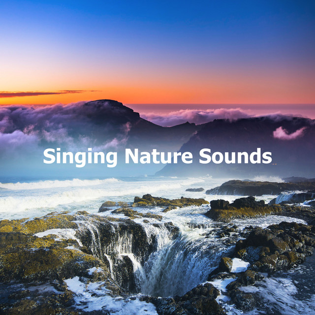 Singing Nature Sounds ! ! ! - Album by Sleep Sounds Of Nature | Spotify