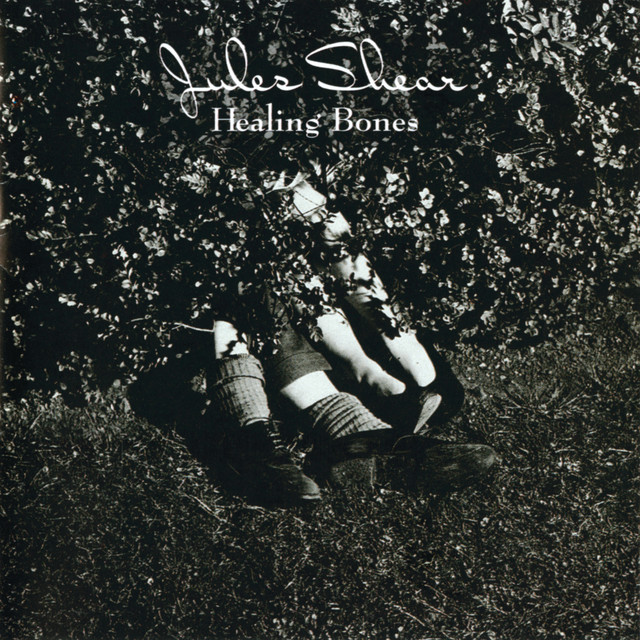 Healing Bones cover