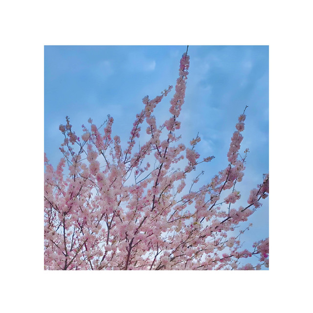 breathe cover art