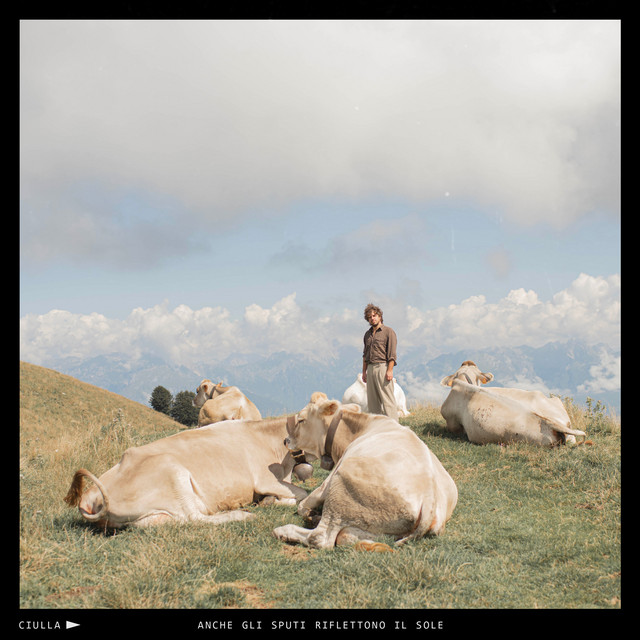 Anche gli sputi riflettono il sole cover art