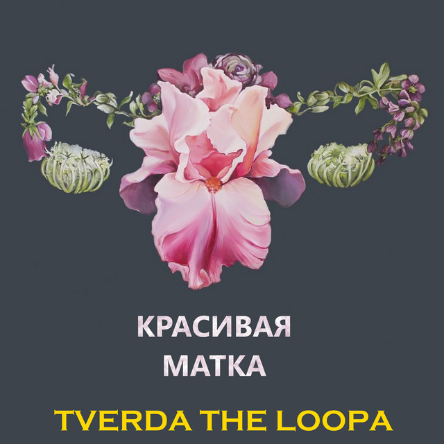 Cover art for TVERDA THELOOPA — Красивая матка