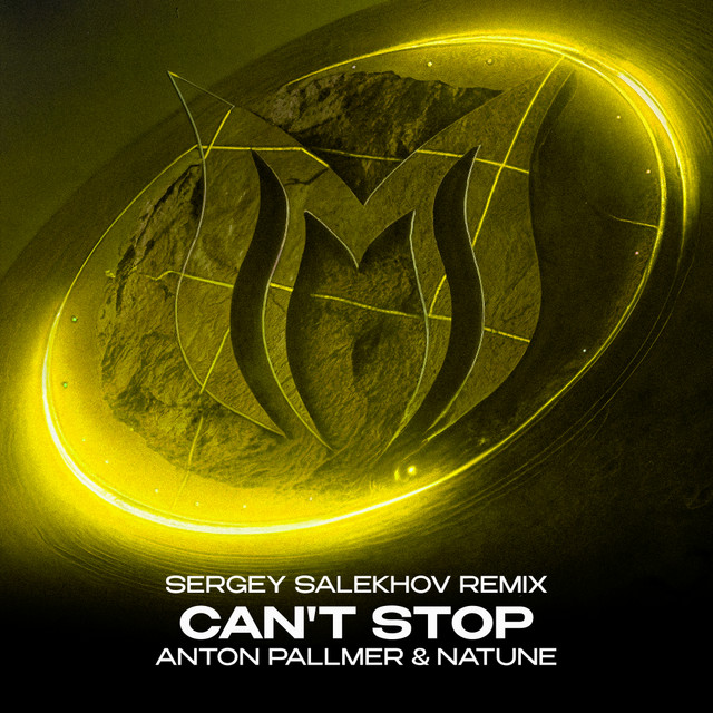 Can't Stop (Sergey Salekhov Remix) cover