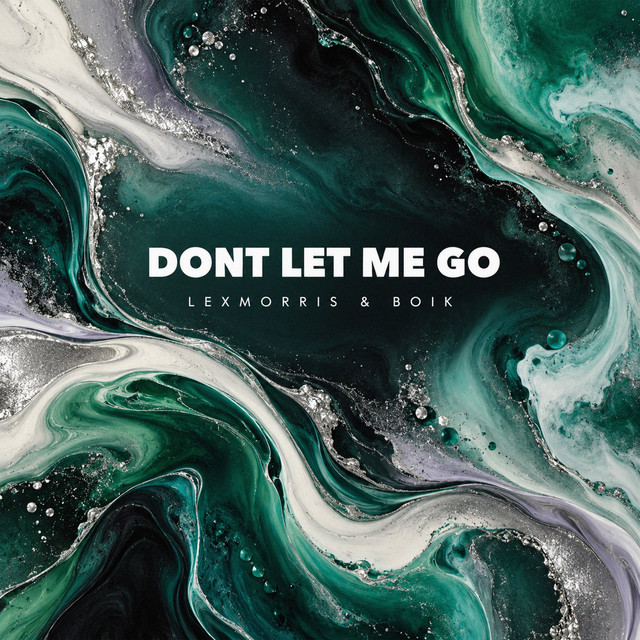 Dont Let Me Go album image