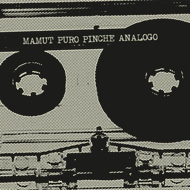 Puro Pinche Análogo cover