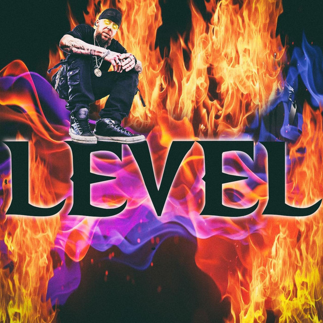 Level cover art
