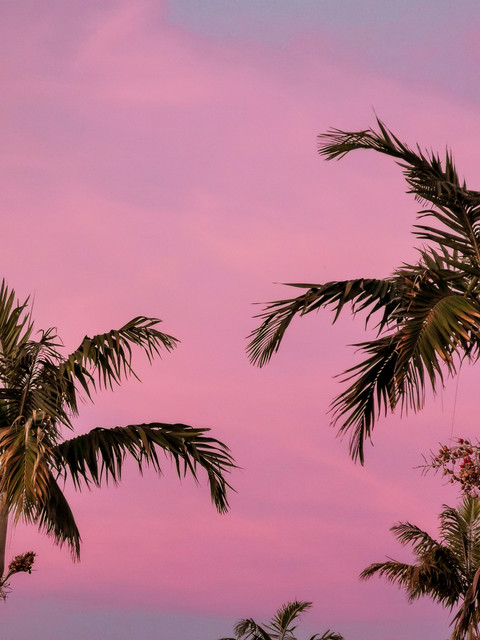 Hot Breeze cover art
