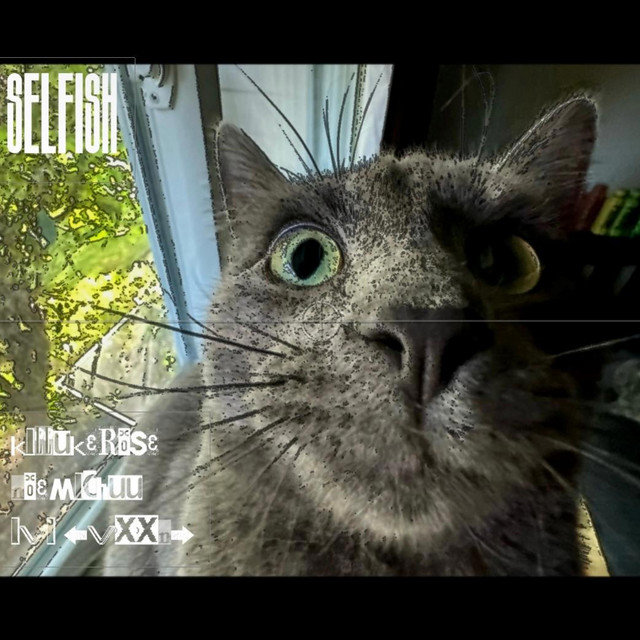 Selfish cover art