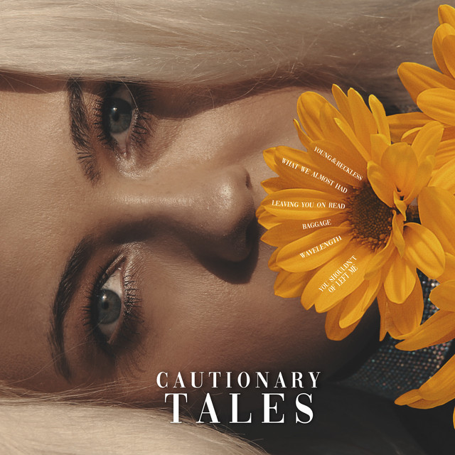 What We Almost Had cover art