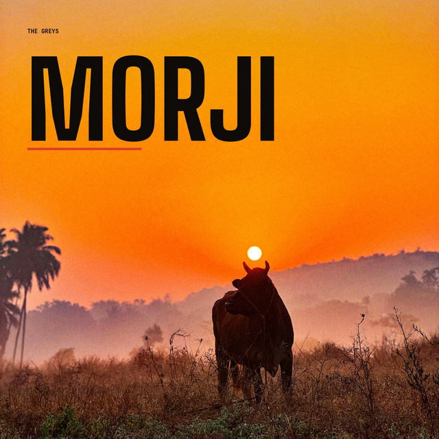 Morji cover