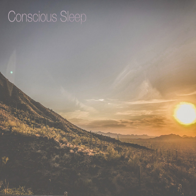 Conscious Sleep (single)
