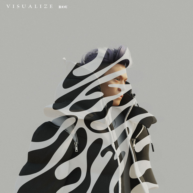 VISUALIZE cover art