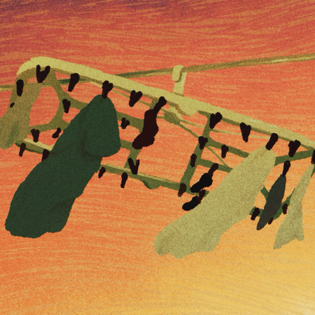 wind direction album cover