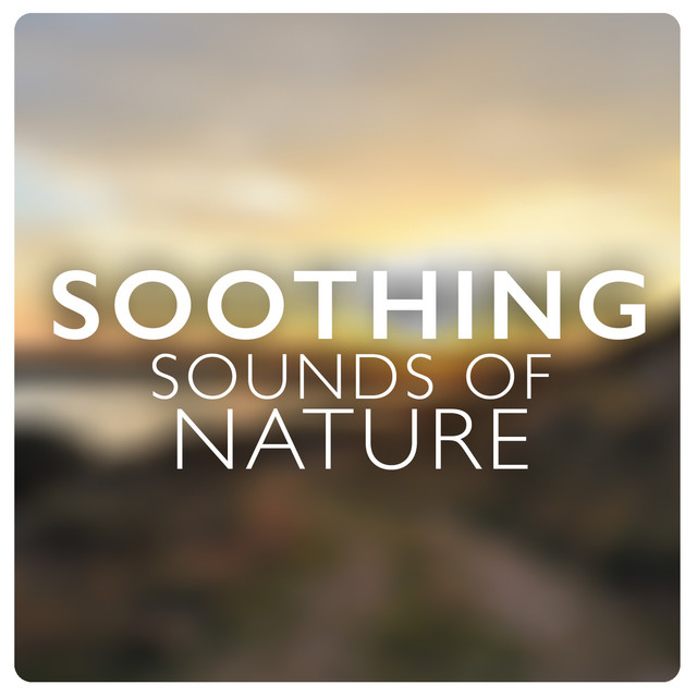 Soothing Sounds of Nature cover art