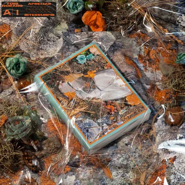 undefined album image