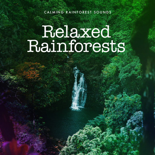 Relaxed Rainforests - Album by Calming Rainforest Sounds | Spotify