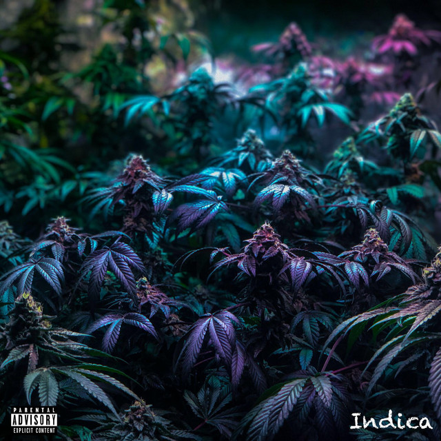 Indica - EP cover art