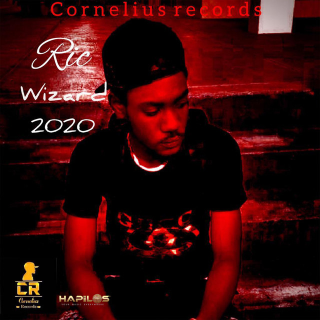 2020 - Single by Ric Wizard | Spotify