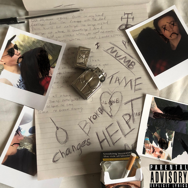 Misfit cover art