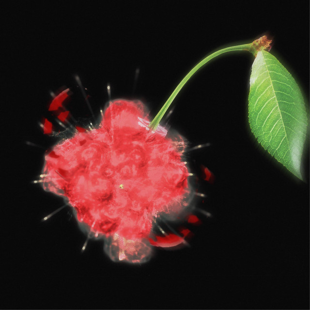 Cherry Bomb cover art
