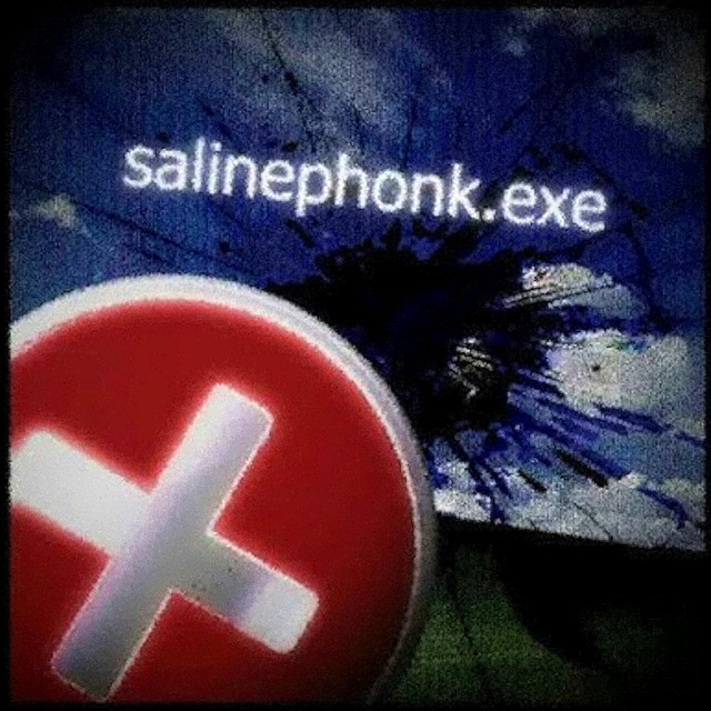 کاور آهنگ SalinePhonk.exe