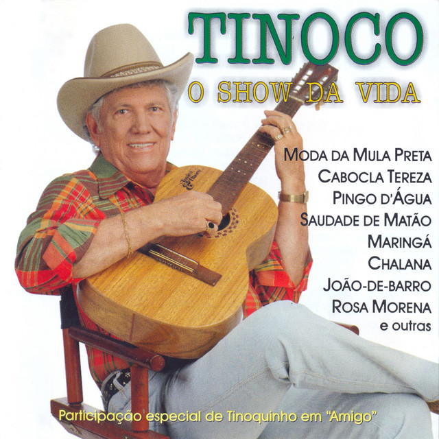 O Show Da Vida cover art
