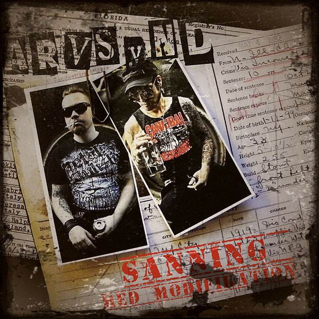 Sanning med modifikation cover art