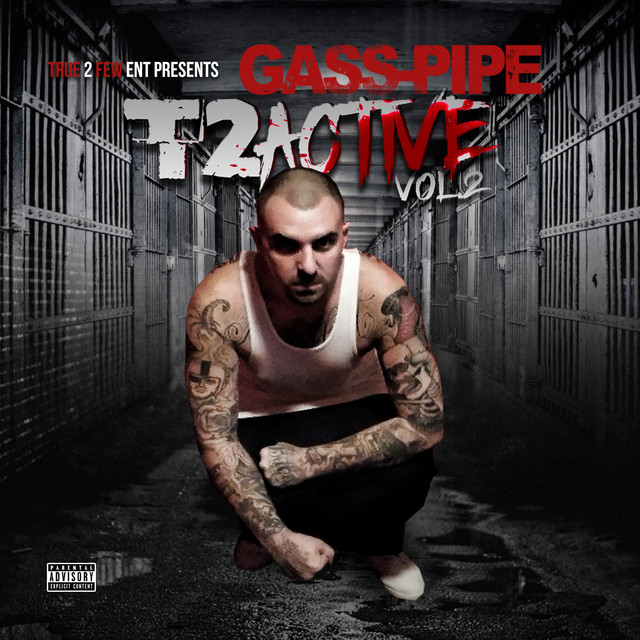 T2active, Vol. 2 cover art
