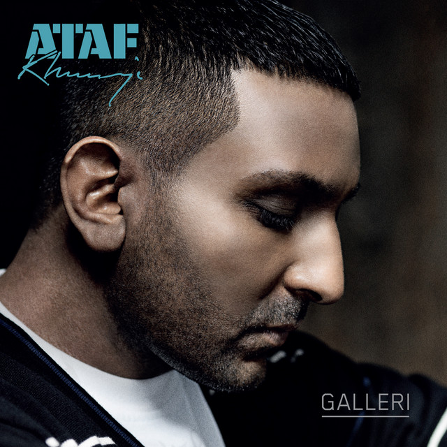 Galleri cover art