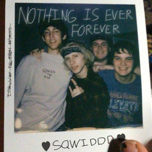 Nothing is Ever Forever cover art