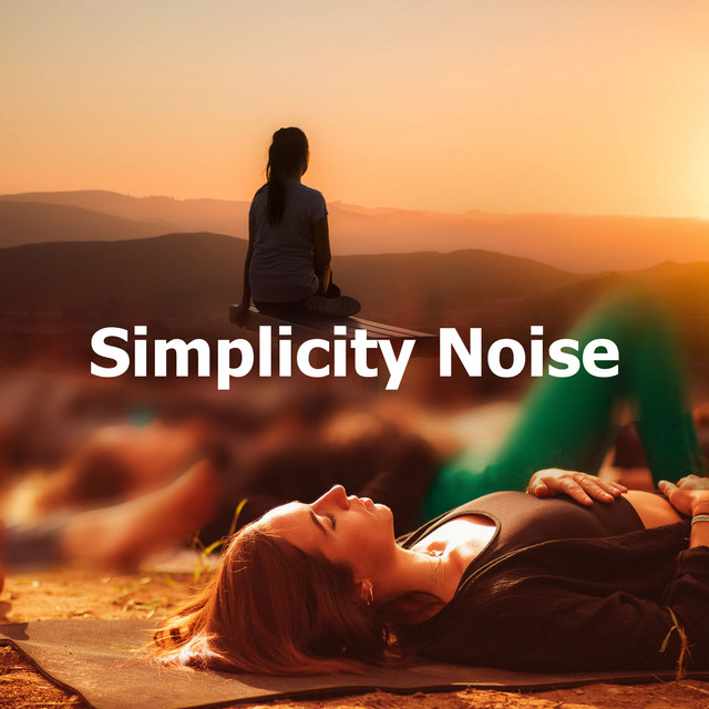 Simplicity Noise - Album by Appliances for Meditation | Spotify