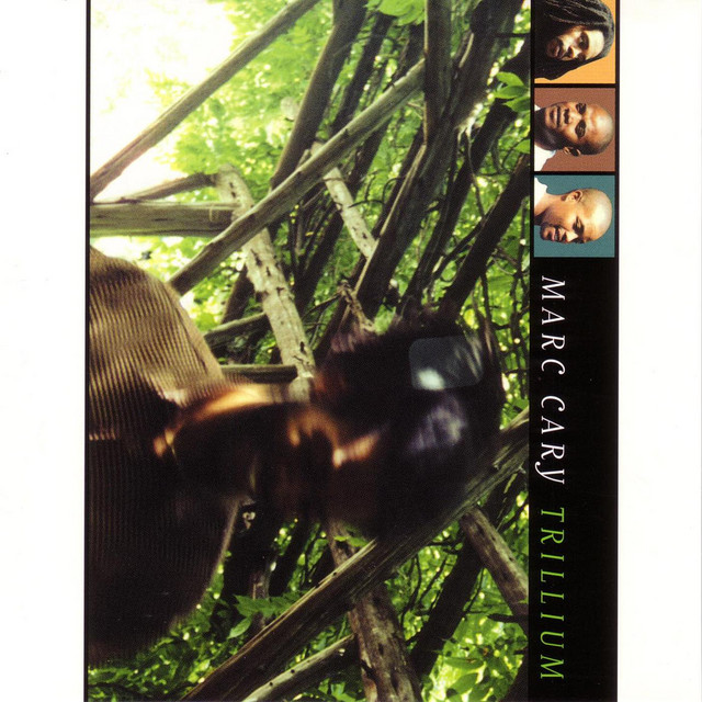Trillium cover art