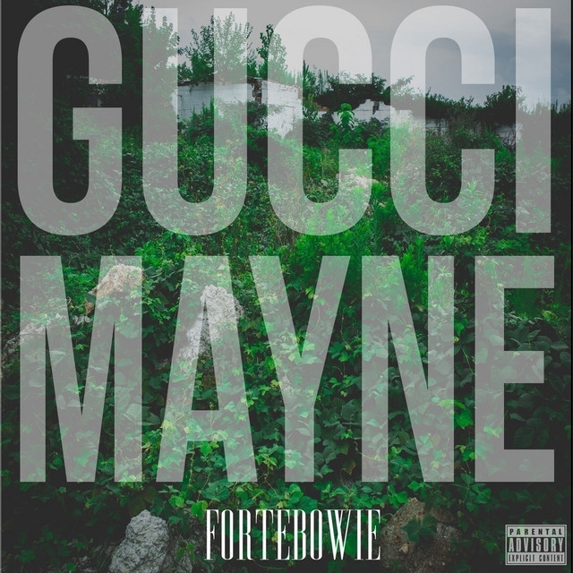 Gucci Mayne cover art