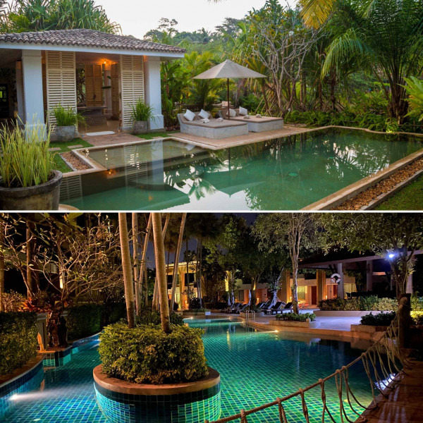 Backdrop for Spring Flings Relaxing Trumpet, Alto Sax and Tenor Sax