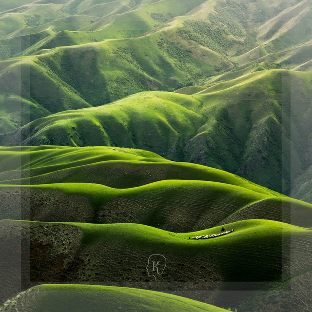 Landscapes cover art