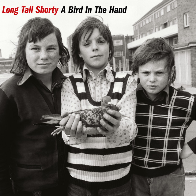 A Bird In The Hand cover