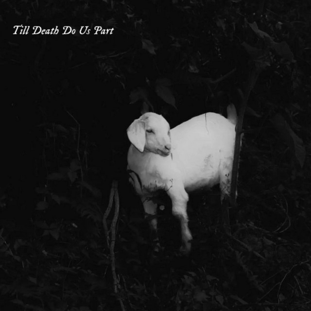 Till Death Do Us Part cover art