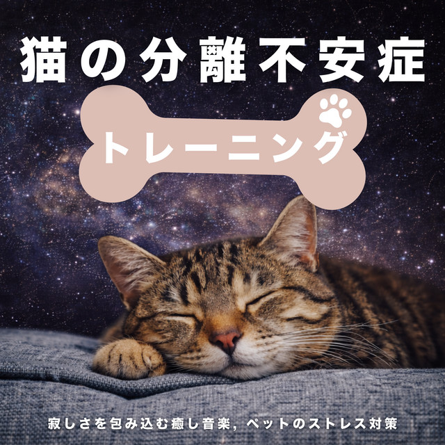 Cat Separation Anxiety Training - Comforting Music for Loneliness, Pet Stress Relief cover art