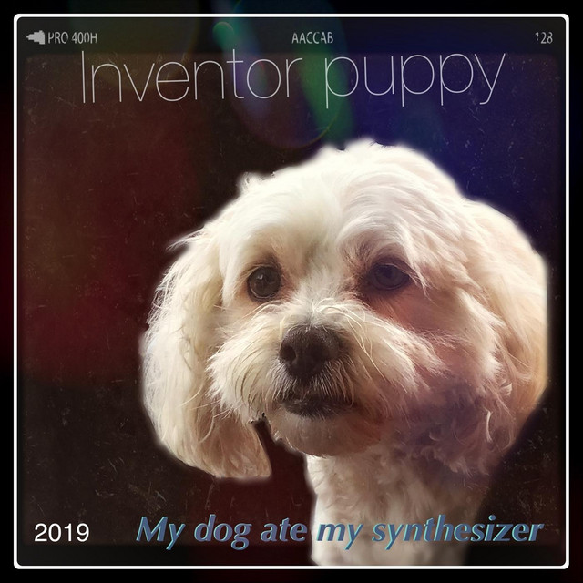 My Dog Ate My Synthesizer cover art
