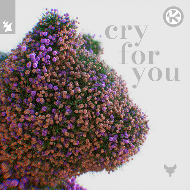 Cry for You