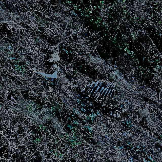 Rotting Away