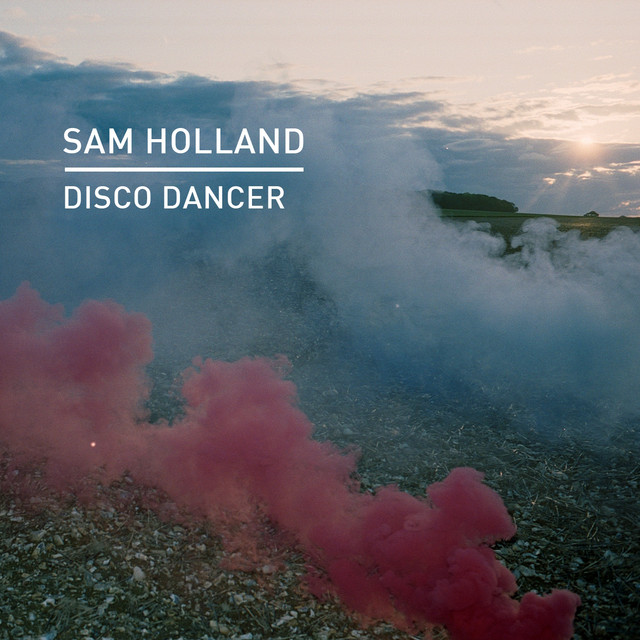 Album art for Disco Dancer