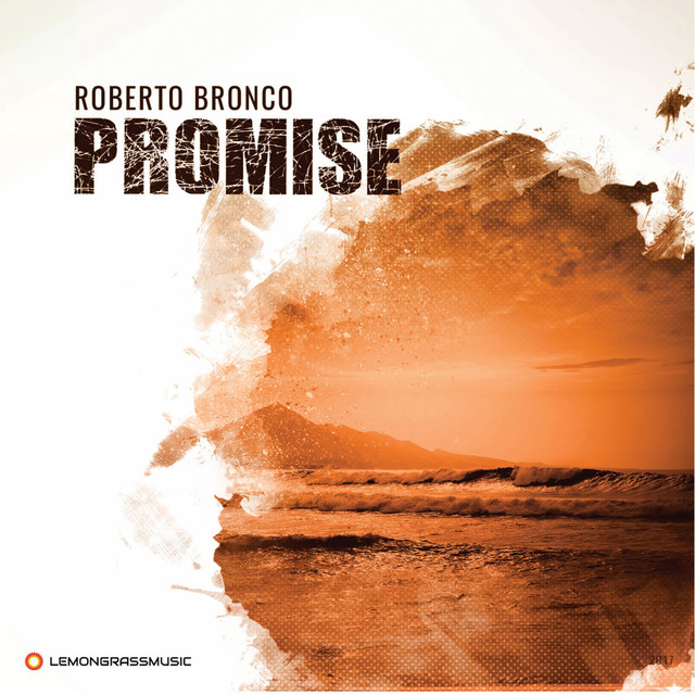 Promise cover