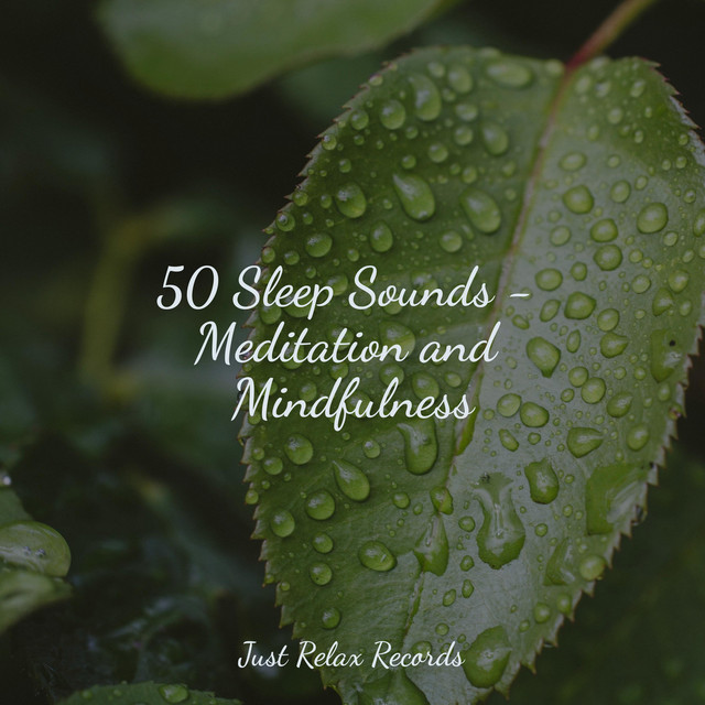 50 Sleep Sounds - Meditation and Mindfulness - Album by Meditation ...