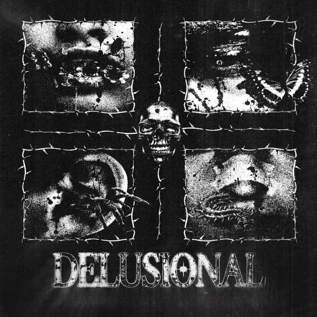 Delusional cover art